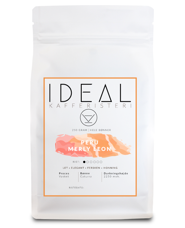 IDEAL Peru Merly Leon